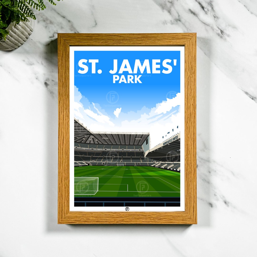 St. James' Park | Framed Hand - Illustrated Print - Football Posters - Framed Prints