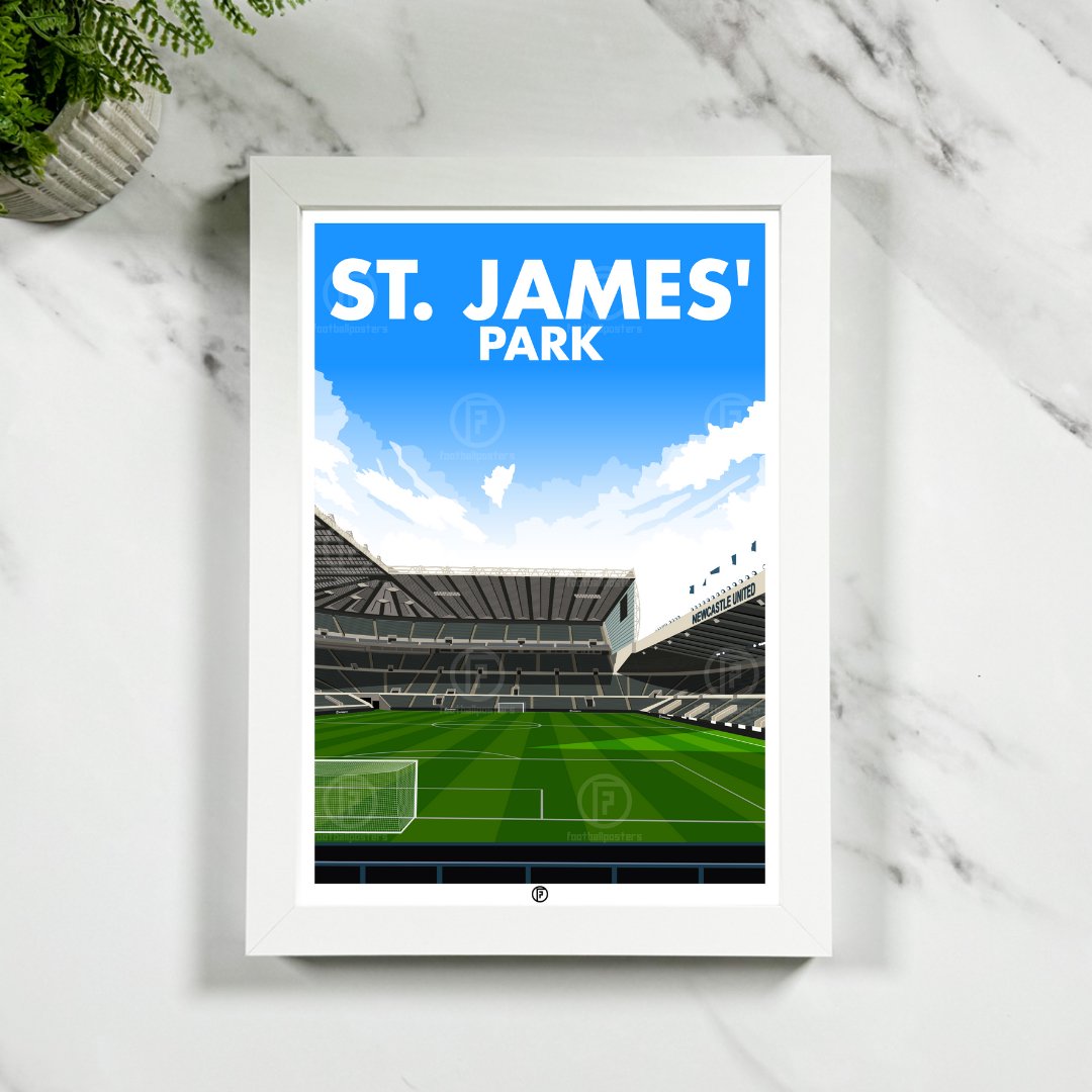 St. James' Park | Framed Hand - Illustrated Print - Football Posters - Framed Prints